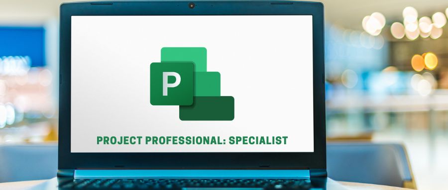 Curso de MS Project Professional
