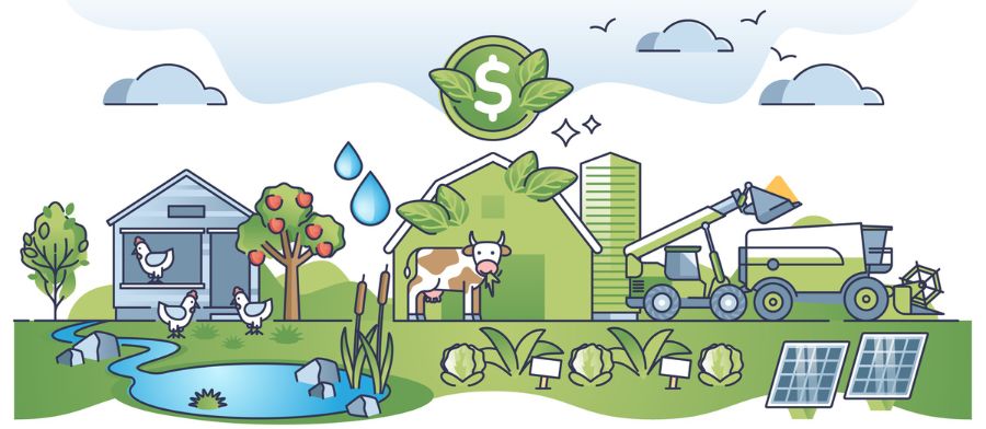 Curso de Gestão Financeira no Agronegócio