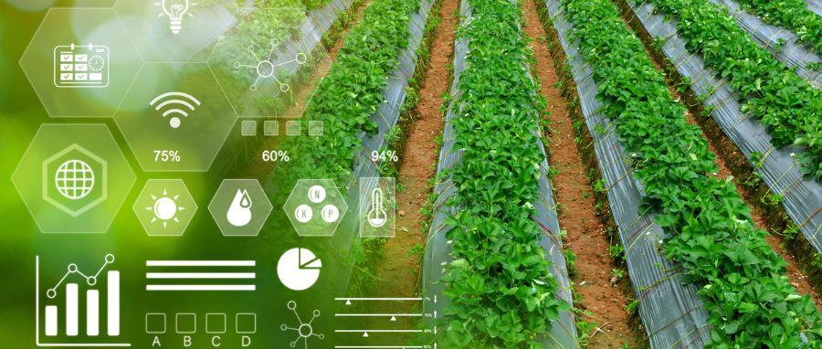 Curso de Gestão de Controladoria no Agronegócio