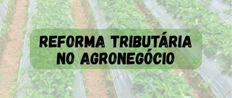Curso de Reforma Tributária no Agronegócio
